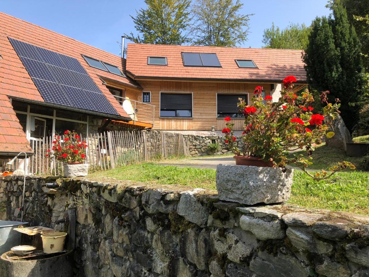La Maison De Jean Les Adrets Exterior foto